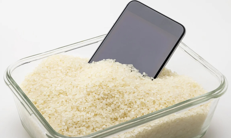 ফোন ভিজলে চালের মধ্যে রাখা কি ঠিক? ফোন ভিজলে চালের মধ্যে রাখা কি ঠিক?