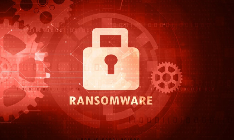 'জাঙ্ক গান' নামে ডার্ক ওয়েবে নতুন র্যানসমওয়্যার: সফোস প্রতিবেদন 'জাঙ্ক গান' নামে ডার্ক ওয়েবে নতুন র্যানসমওয়্যার: সফোস প্রতিবেদন